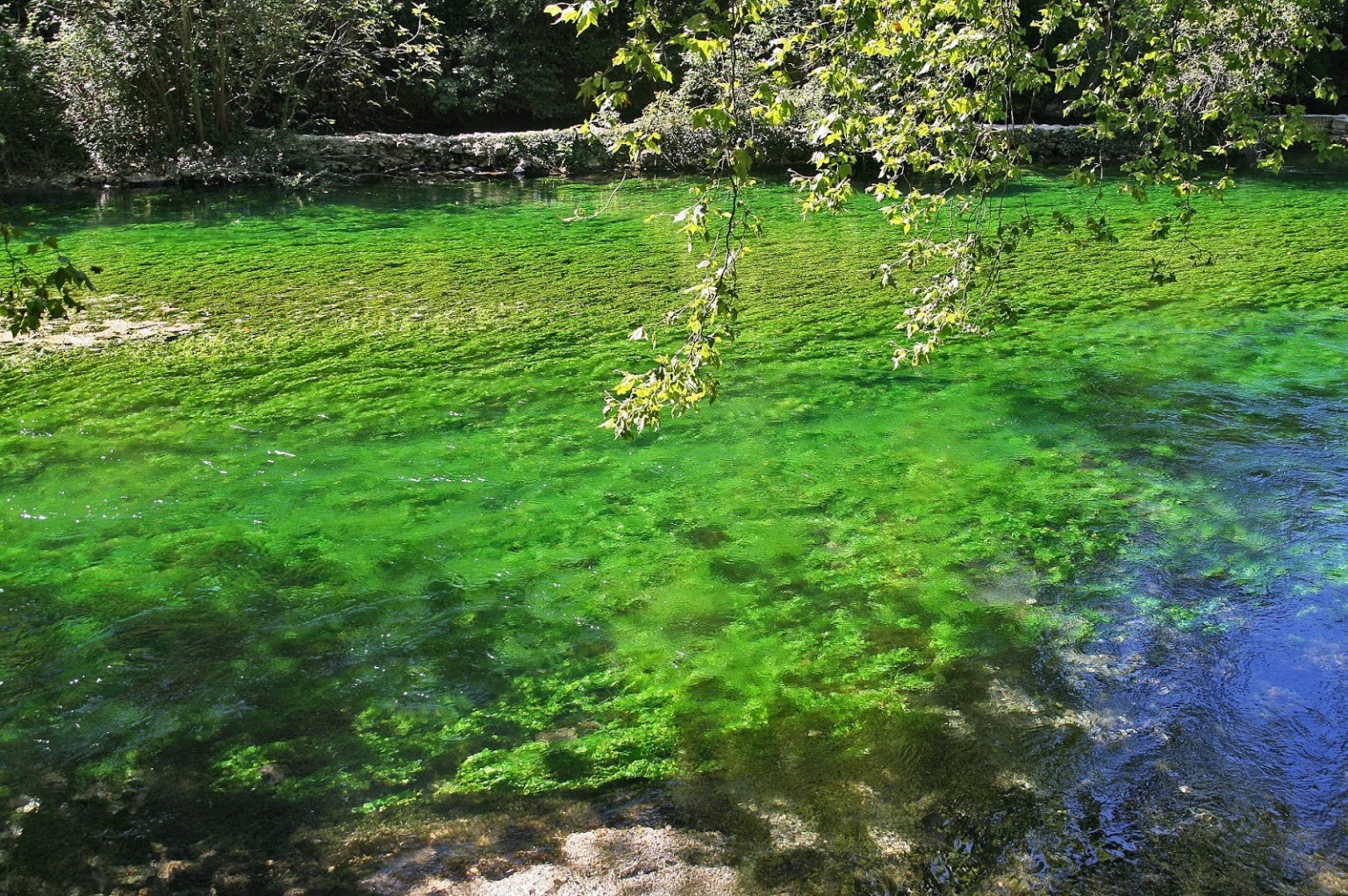 crystal clear water sorgue river