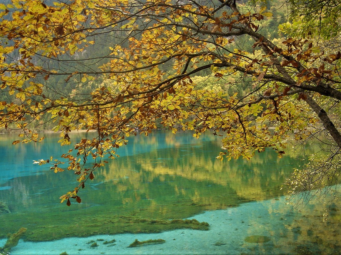 （九寨沟）China