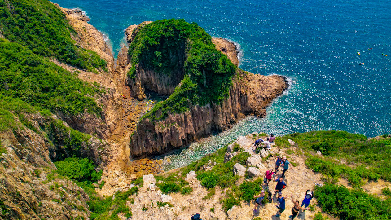 Gold Fishtail Wagging Sai Kung